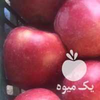 فروش سیب درختی جابان دماوند در تهران در گروه خرید فروش عمده سیب - زرد و قرمز گلاب پاییزه در یکمیوه