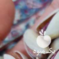 فروش پسته و مغز پسته عمده در یزد در گروه آجیل - فروش عمده محصولات در یکمیوه