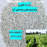 فروش زئولیت ویژه کشت نهال و کشاورزی در تهران در گروه خرید فروش نهال - انواع گردو پسته بادام سلطانی انگور در یکمیوه