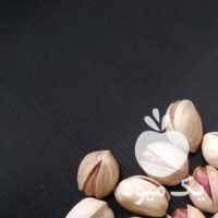 فروش پسته و مغز پسته کرمان در تهران در گروه پسته - کوهی شامی خام اکبری تازه کله قوچی در یکمیوه