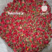 فروش غنچه و پر خشک گل رز در تهران در گروه خرید فروش عمده گیاهان زینتی - گرمسیری آپارتمانی باغچه آب در یکمیوه