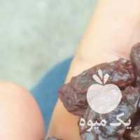 فروش عمده  کشمش و مویز آفتابی در شیراز در گروه آجیل - فروش عمده محصولات در یکمیوه