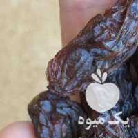خرید و فروش عمده مویز و کشمش در شیراز در گروه آجیل - فروش عمده محصولات در یکمیوه