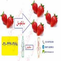 فروش سایکوسل Cycocel در تهران در گروه خرید و فروش عمده انواع محصولات کشاورزی و دامداری در یکمیوه