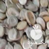 فروش انواع تخمه وشیره انگور در تهران در گروه آجیل - فروش عمده محصولات در یکمیوه