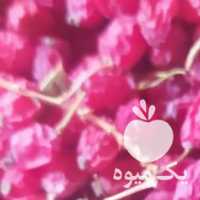 فروش زرشک دونه اناری در بیرجند در گروه خرید فروش عمده ازگیل و تمشک و زرشک - ژاپنی فروش مستقیم در یکمیوه
