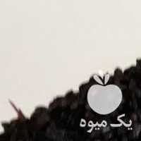 فروش زرشک کوهی زرشک آبگیری صدرصد طبیعی در تهران در گروه خرید فروش عمده ازگیل و تمشک و زرشک - ژاپنی فروش مستقیم در یکمیوه