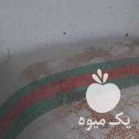 فروش سبوس برنج در رودسر در گروه خرید فروش عمده برنج - نیم دانه عنبر بو هاشمی کاظمی هندی پاکستانی در یکمیوه