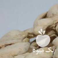 فروش بادام زمینی کره گیری و کنجد روغنگیری در تهران در گروه بادام - درختی کوهی زمینی فروش عمده در یکمیوه