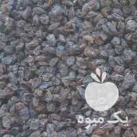 فروش کشمش و مویزسیاه تمیز و مویز قرمز انگور بش در شیراز در گروه آجیل - فروش عمده محصولات در یکمیوه