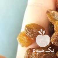 فروش کشمش پلویی در شیراز در گروه آجیل - فروش عمده محصولات در یکمیوه