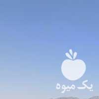 فروش سیب زمینی بذری و خوراکی در همدان در گروه خرید فروش عمده سیب زمینی - زودرس دیررس آگریا اسپریت اردبیل همدان در یکمیوه