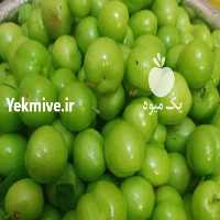 فروش فروش خرده و عمده گوجه سبز اورگانیک شمال زیر قیمت بازار   در گیلان در گروه خرید فروش عمده گوجه فرنگی - فرنگی سبز قرمز سیاه کبابی ربی در یکمیوه