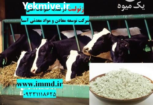 فروش زئولیت در جیره حیوانات اهلی در تهران در گروه خرید و فروش عمده انواع محصولات کشاورزی و دامداری در یکمیوه -عکس1