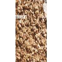 فروش گردو پوست کاغذی در تهران در گروه گردو - کاغذی سنگی سوزنی خوشه ای توسرکان در یکمیوه