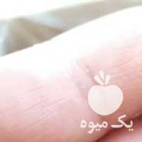 فروش خرما مجول در تهران در گروه خرید فروش عمده خرما - کبکاب تازه زاهدی خشک خارک در یکمیوه