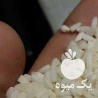 فروش برنج علی کاظمی پاک شده در رشت در گروه خرید فروش نشا - انواع گوجه برنج کاهو پیاز کاری فرنگی در یکمیوه