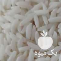 فروش برنج مرغوب گیلان در رشت در گروه خرید فروش عمده برنج - نیم دانه عنبر بو هاشمی کاظمی هندی پاکستانی در یکمیوه