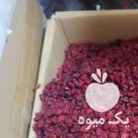 فروش زرشک پفکی و دانه اناری در مشهد در گروه خرید فروش عمده ازگیل و تمشک و زرشک - ژاپنی فروش مستقیم در یکمیوه