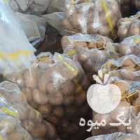 فروش سیب زمینی بامبا گاوی برای دام در همدان در گروه خرید فروش عمده سیب زمینی - زودرس دیررس آگریا اسپریت اردبیل همدان در یکمیوه