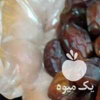 فروش خرمای خاصویی بدون واسطه در تهران در گروه خرید فروش عمده خرما - کبکاب تازه زاهدی خشک خارک در یکمیوه