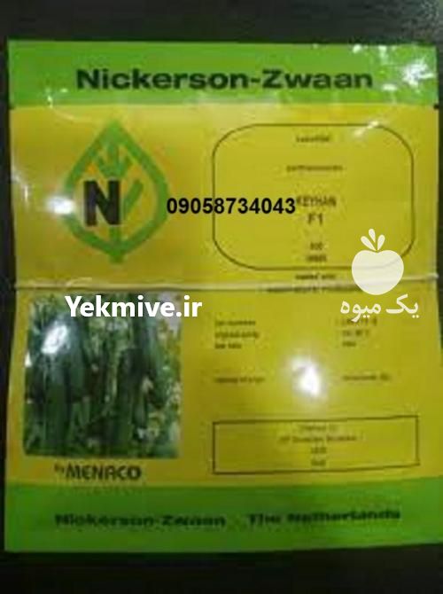 فروش بذر خیار گلخانه ای کیهان پربار شیاردار در ایلام در گروه خرید فروش عمده گیاهان زینتی - گرمسیری آپارتمانی باغچه آب در یکمیوه -عکس1