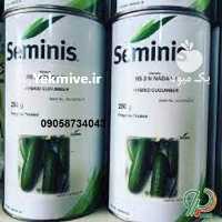 فروش بذر خیار رویال در ایلام در گروه خرید فروش بذر - انواع محصول کشاورزی گوجه کتان میوه درخت در یکمیوه