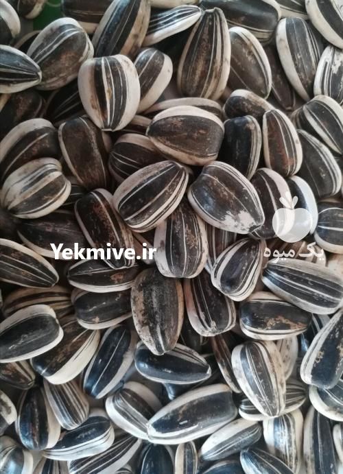 فروش تخمه آفتابگردان و تخمه کدو تخمه امیر در تهران در گروه خرید فروش عمده آفتابگردان - تخمه خوی دیم گل در یکمیوه -عکس1