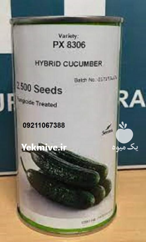 فروش بذر خیار گلخانه ای کاترینا در ایلام در گروه خرید فروش عمده گیاهان زینتی - گرمسیری آپارتمانی باغچه آب در یکمیوه -عکس1