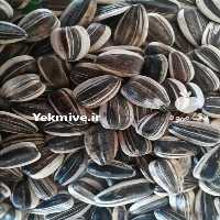 فروش تخمه آفتابگردان و تخمه کدو تخمه امیر در تهران در گروه خرید فروش عمده آفتابگردان - تخمه خوی دیم گل در یکمیوه