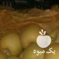 فروش سیب زرد و قرمز اعلای باراندوز 5 تن در سردخانه در ارومیه