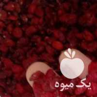 فروش زرشک دانه اناری در مشهد در گروه خرید فروش عمده ازگیل و تمشک و زرشک - ژاپنی فروش مستقیم در یکمیوه