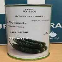 فروش بذر خیار گلخانه ای کاترینا در ایلام در گروه خرید فروش عمده گیاهان زینتی - گرمسیری آپارتمانی باغچه آب در یکمیوه