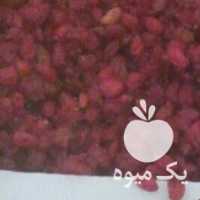 فروش زرشک اناری و پفکی معمولی و صادراتی درتهران در گروه خرید فروش عمده ازگیل و تمشک و زرشک - ژاپنی فروش مستقیم در یکمیوه