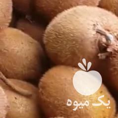 فروش کیوی ریز و دوقلو در تنکابن در گروه خرید فروش عمده کیوی - صادراتی مازندران تنکابن تالش در یکمیوه -عکس1