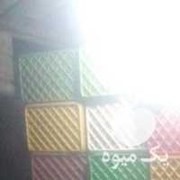 فروش سبد 20 کیلویی پرتقال و کیوی در تنکابن در گروه خرید فروش انواع سبد - میوه پلاستیکی چوبی گل در یکمیوه