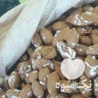فروش پودرنارگیل گردو پسته بادام هندی انجیر بادام درختی در تهران در گروه بادام - درختی کوهی زمینی فروش عمده در یکمیوه