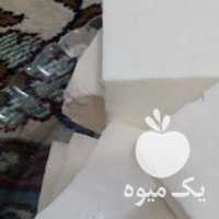 فروش شیر ،  ماست ،  کشک و دیگر محصولات خانگی گوسفندی در یزد در گروه انواع فرآورده های لبنی و حیوانی - ماست کره فروش عمده در یکمیوه