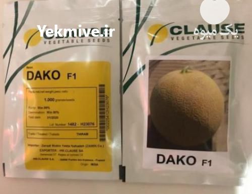 فروش بذر ملون داکو در خوزستان در گروه خرید فروش بذر - انواع محصول کشاورزی گوجه کتان میوه درخت در یکمیوه -عکس1
