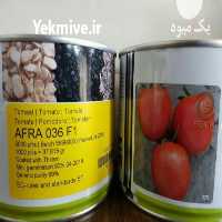 فروش بذر گوجه فرنگی افرا در خوزستان در گروه خرید فروش بذر - انواع محصول کشاورزی گوجه کتان میوه درخت در یکمیوه