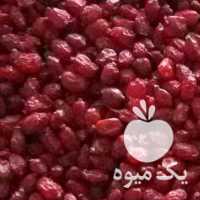 فروش زرشک پفکی امسالی یک بدون روغن در بیرجند در گروه خرید فروش عمده ازگیل و تمشک و زرشک - ژاپنی فروش مستقیم در یکمیوه