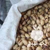 آگهی مشابه فروش پسته فندقی در قم در گروه پسته - کوهی شامی خام اکبری تازه کله قوچی در یکمیوه