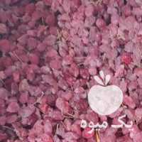 فروش هشت کیلوزرشک پاک کرده در بیرجند در گروه خرید فروش عمده ازگیل و تمشک و زرشک - ژاپنی فروش مستقیم در یکمیوه