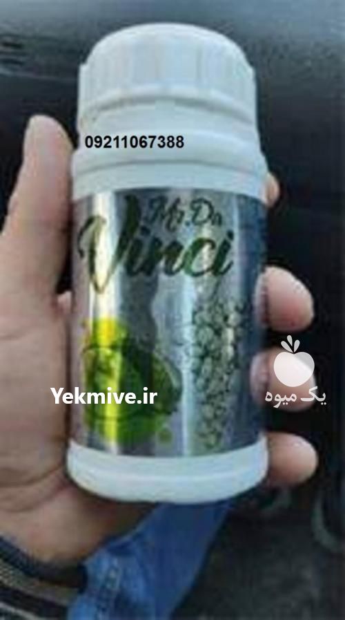 فروش مستر داوینچی در گیلان در گروه خرید فروش نشا - انواع گوجه برنج کاهو پیاز کاری فرنگی در یکمیوه -عکس1