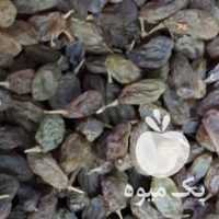 فروش کشمش ومویز بصورت خرده و عمده مرکز شهر در شیراز در گروه خرید فروش عمده چوب- زغال چوب گردو تبریزی خام در یکمیوه