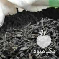 فروش کلی و جزعی چای بهاره 1400 لاهیجان در گیلان در گروه خرید فروش عمده چوب- زغال چوب گردو تبریزی خام در یکمیوه