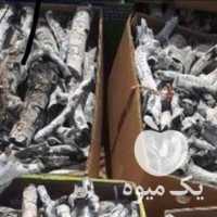 فروش زغال سفید پسته در سیرجان در گروه خرید فروش عمده چوب- زغال چوب گردو تبریزی خام در یکمیوه