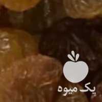 فروش کشمش تیزآبی سلطانی ملایر در تهران در گروه آجیل - فروش عمده محصولات در یکمیوه