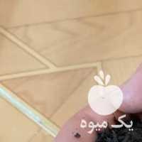 فروش انواع چای بهاره ارگانیک لاهیجان در گیلان در گروه خرید فروش عمده چوب- زغال چوب گردو تبریزی خام در یکمیوه