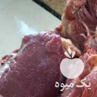 فروش گوشت گوساله گاوی تلیسه خورده چربی گوسفندی بره در تهران در گروه گاو و گوسفند و میش و بز کهره گوساله سمینتال در یکمیوه